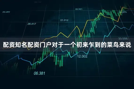 配资知名配资门户对于一个初来乍到的菜鸟来说