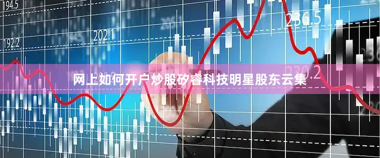 网上如何开户炒股矽睿科技明星股东云集