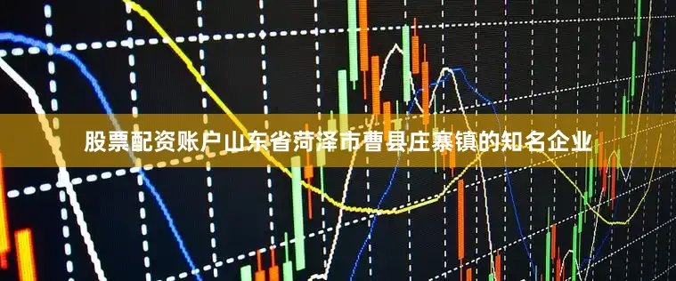 股票配资账户山东省菏泽市曹县庄寨镇的知名企业