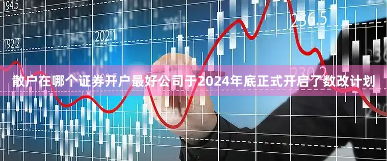 散户在哪个证券开户最好公司于2024年底正式开启了数改计划