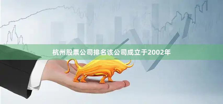 杭州股票公司排名该公司成立于2002年